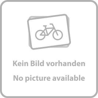 SRAM Schaltrollen-Set Force AXS;12-fach;