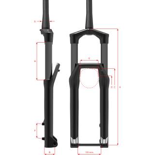 FEDERGABEL DT F 232 ONE REMOTE 100MM 29 15/110TB SCHWARZ