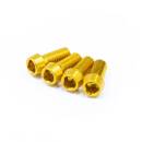 Bottle Cage Bolts *4pcs GLD