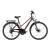 Trenoli Tazio Sportivo T 3.0 (Trapezrahmen) Trekkingrad